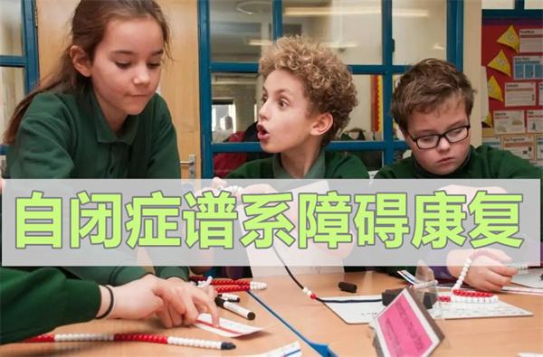 自闭症儿童语言表达能力训练机构 自闭症儿童语言表达能力训练机构