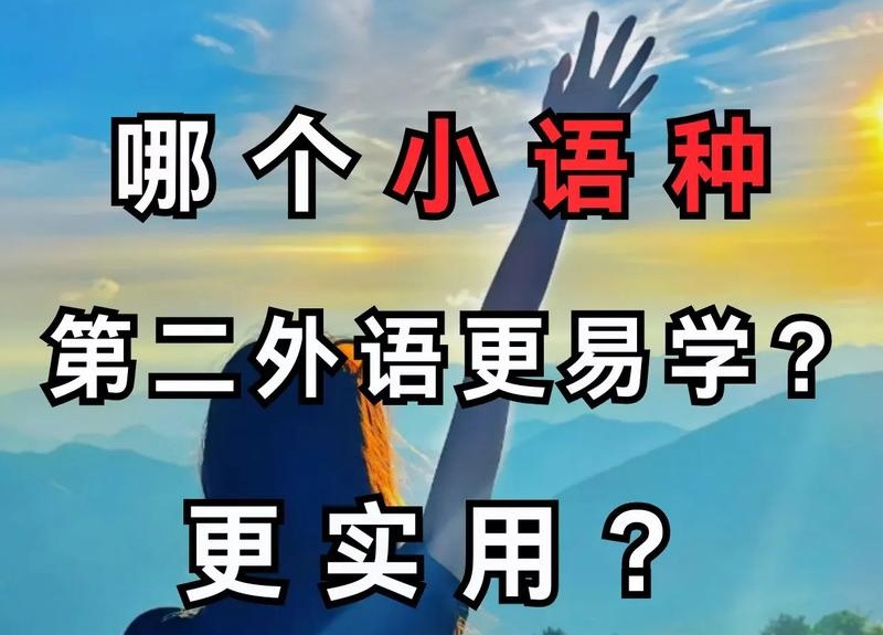 第二外语技能指导机构推荐 第二外语技能指导机构推荐