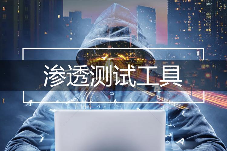 零基础渗透性测试指导机构
