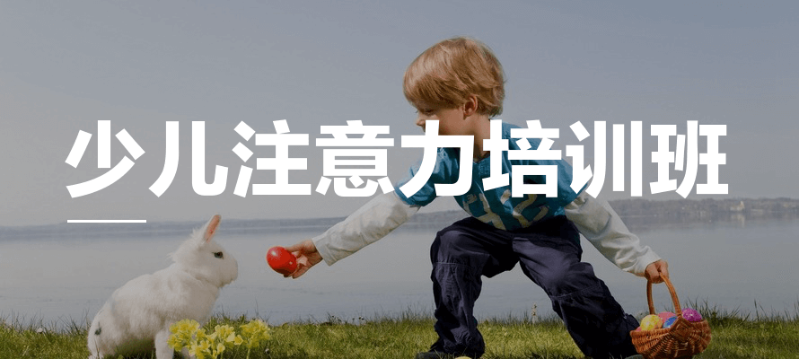 一览天津孤独症专注力提升机构十大2025年全新排名榜