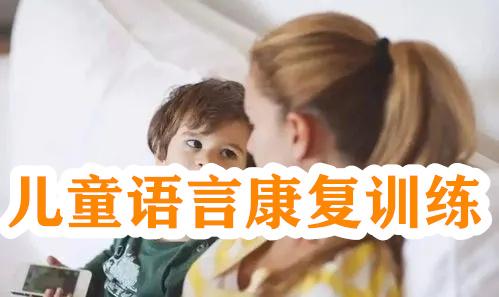 儿童构音障碍康复训练机构