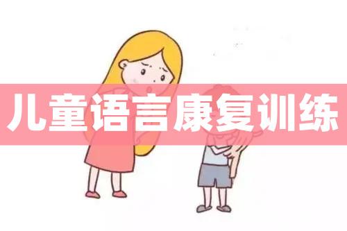 儿童构音障碍康复训练机构