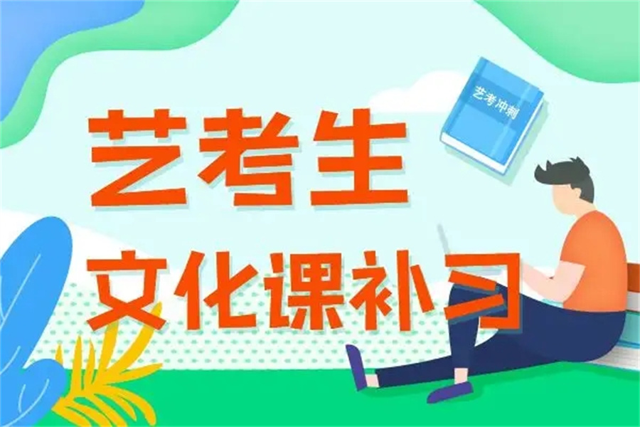 艺考生文化课冲刺辅导
