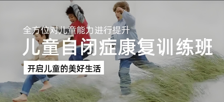 儿童自闭症 儿童自闭症