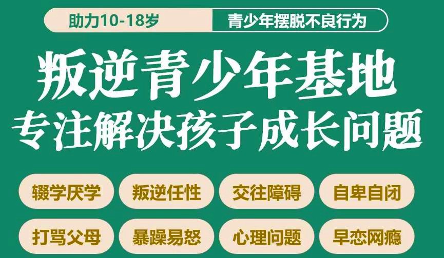 湖北2025年十大叛逆青少年特训教育学校排名 湖北2025年十大叛逆青少年特训教育学校排名