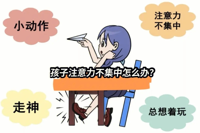 发育迟缓康复机构,问题儿童教育机构,注意力训练,儿童问题