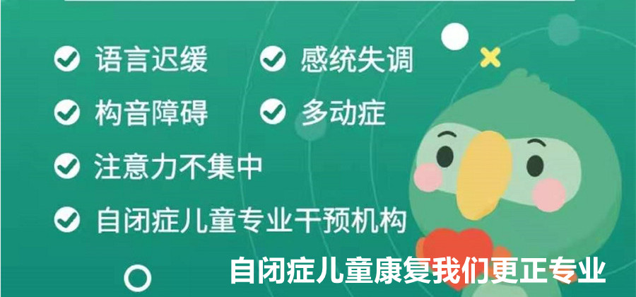 问题儿童教育机构,特殊教育学校,语言康复机构,发育迟缓康复机构