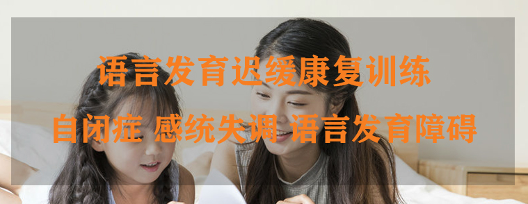 语言康复机构,儿童构音障碍,孩子说话迟,语言障碍 语言康复机构,儿童构音障碍,孩子说话迟,语言障碍