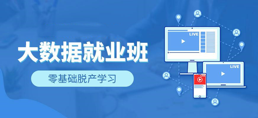 2025行业甄选大数据开发培训机构十大排名榜