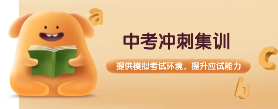 中考冲刺辅导学校