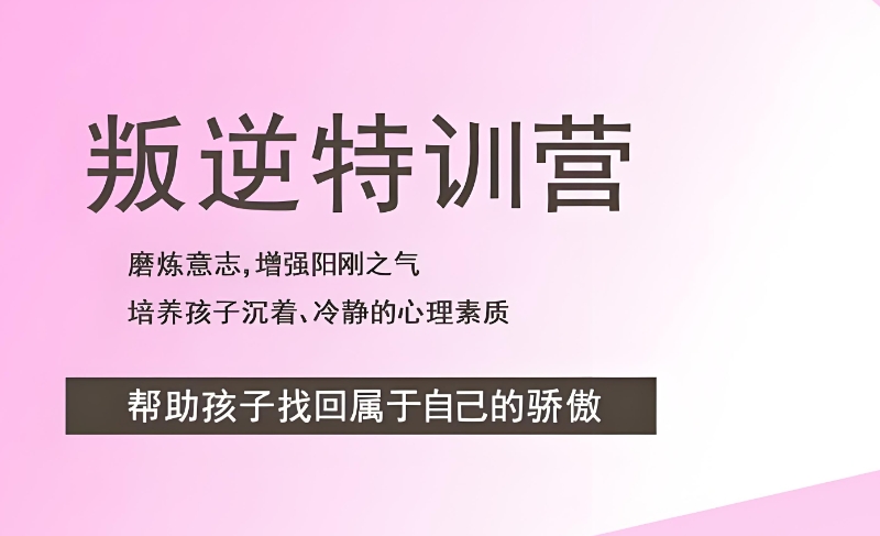 叛逆学校 叛逆学校