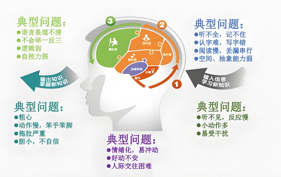 问题儿童教育机构,特殊教育学校,儿童专注力训练,多动症干预 问题儿童教育机构,特殊教育学校,儿童专注力训练,多动症干预