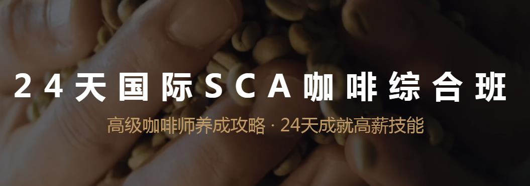 咖啡师的就业前景 咖啡师的就业前景