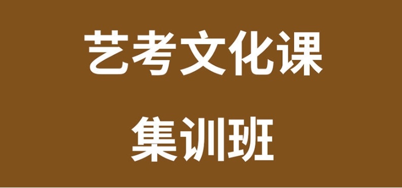 艺考文化课集训辅导机构哪家好，艺考文化课集训辅导机构，高三艺术生文化课辅导