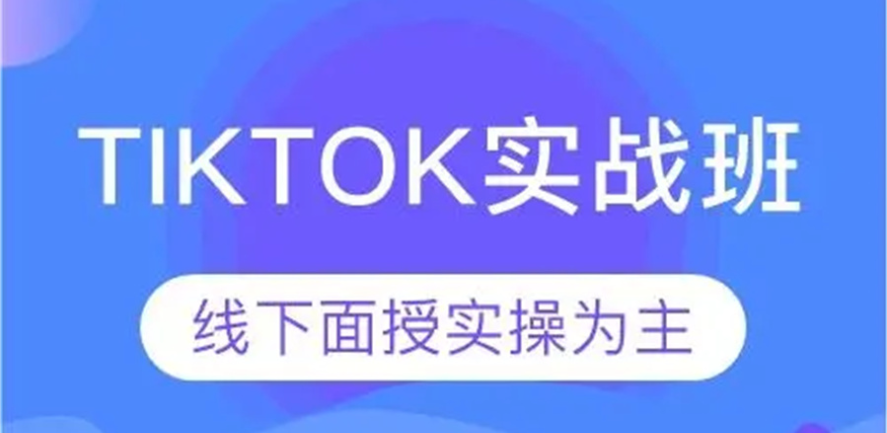 如何利用TikTok算法优化电商运营策略