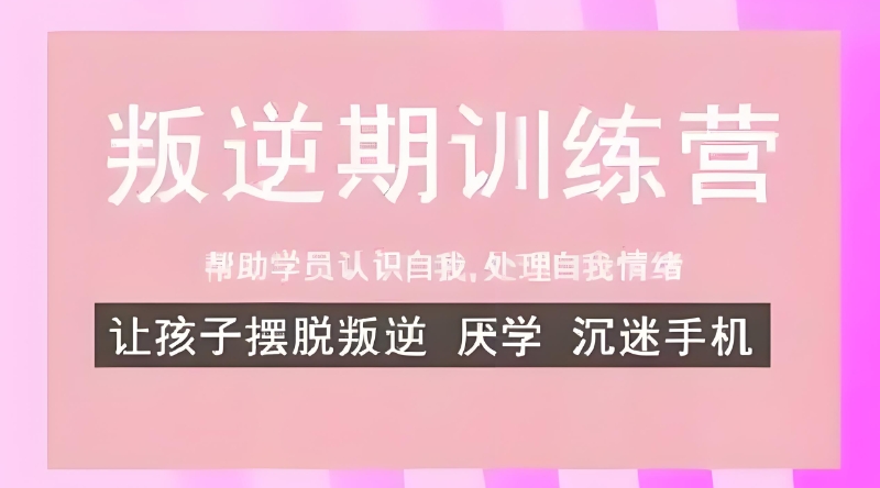 叛逆学校 叛逆学校