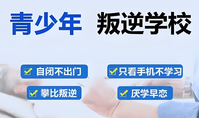 叛逆教育