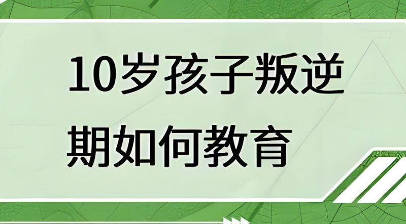 叛逆封闭学校 叛逆封闭学校