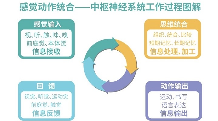 多动症康复干预机构，感统失调训练机构，注意力训练机构