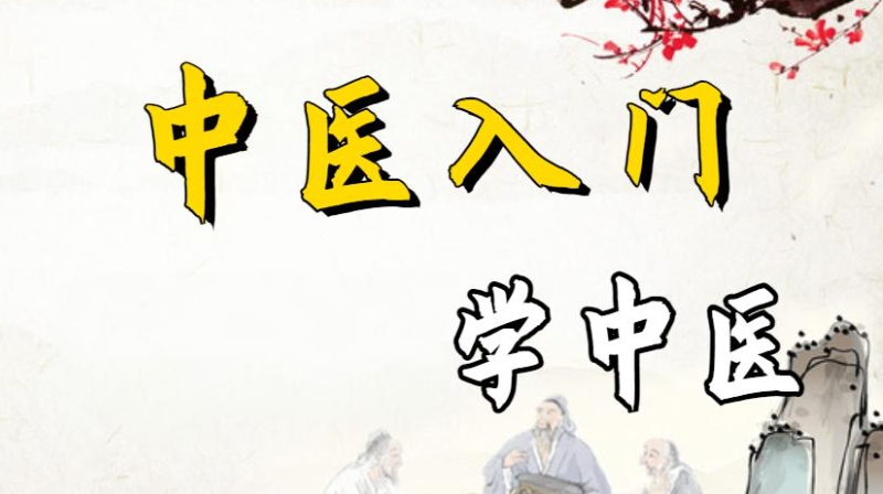 中医师承 中医师承