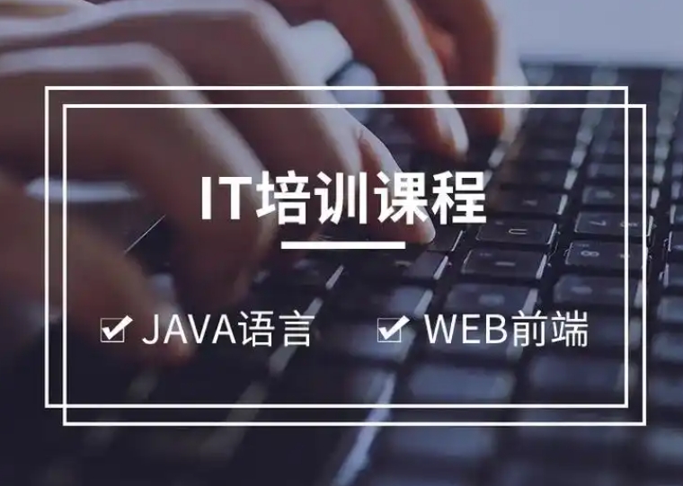 IT技能培训，IT就业指导，学习IT，程序员培训