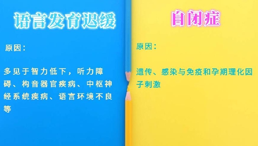 自闭症儿童康复训练机构，自闭症康复，训练自闭症机构