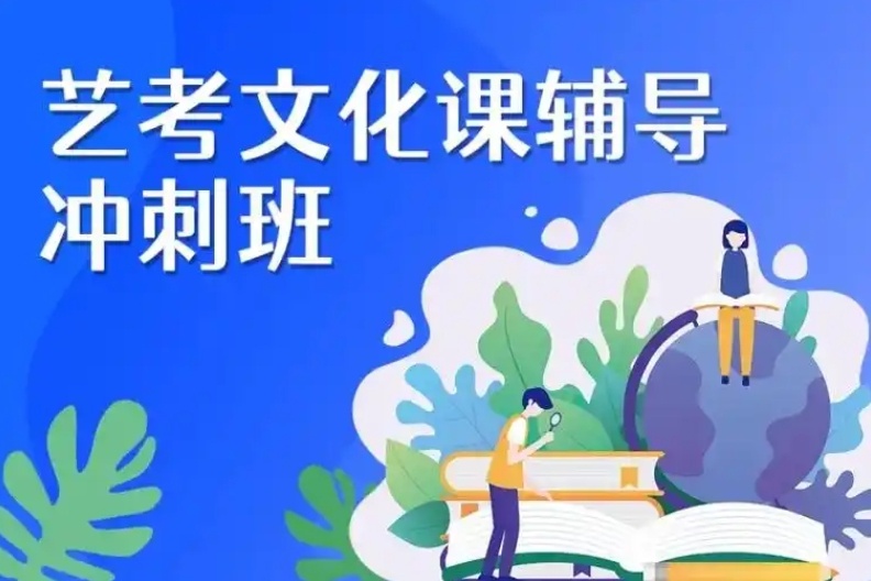海南艺术生文化课辅导集训机构，文化课辅导机构