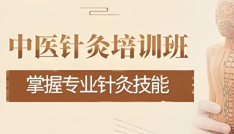 中医培训