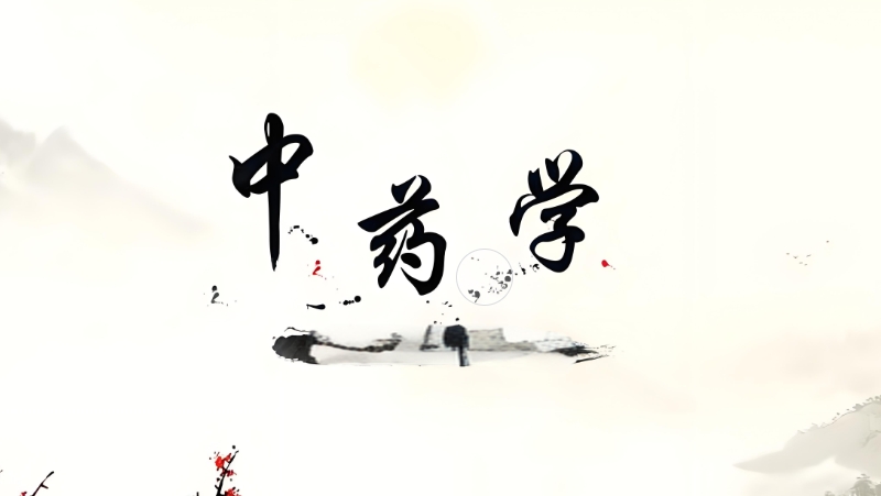 中医培训学校