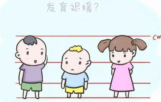 国内儿童发育迟缓干预治疗机构十大排行榜 国内儿童发育迟缓干预治疗机构十大排行榜