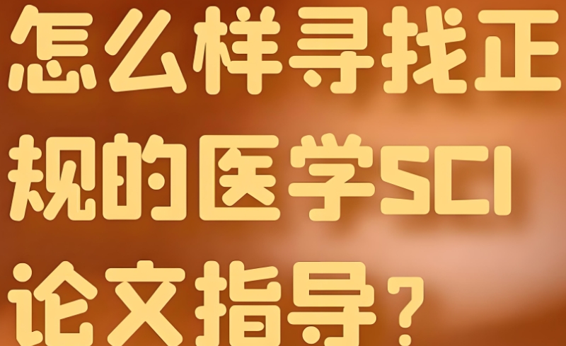 论文指导