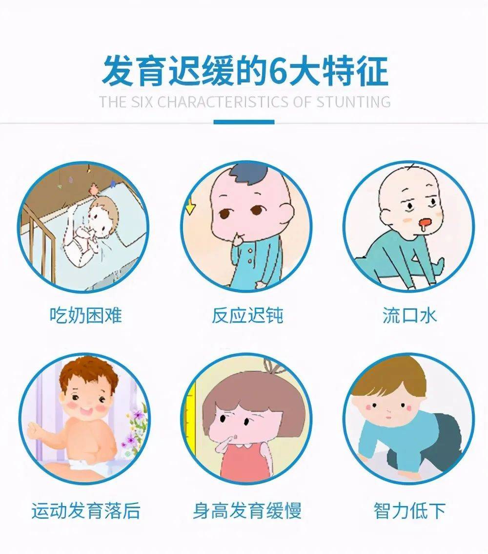上海地区全面发育迟缓干预5大排行榜详解
