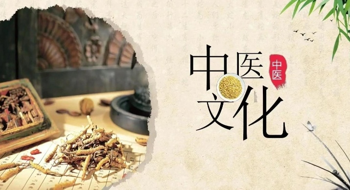 中医养生健康培训机构，中医培训机构，中医专长培训机构