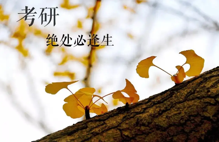 避坑指南|国内26届考研辅导机构前十排名 避坑指南|国内26届考研辅导机构前十排名