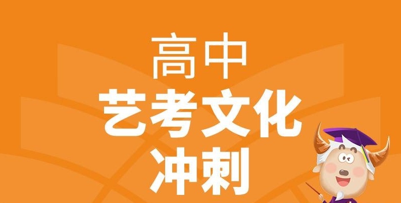 高考文化课冲刺辅导机构，高三文化课冲刺，高考冲刺