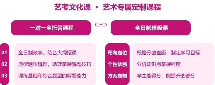 高考文化课冲刺辅导机构，高三文化课冲刺，高考冲刺