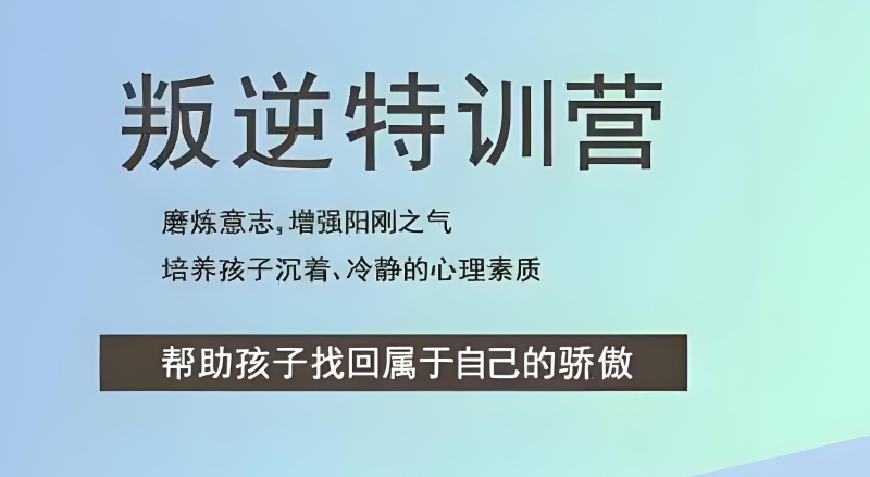 叛逆少年特训学校 叛逆少年特训学校