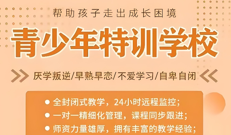 叛逆特训学校