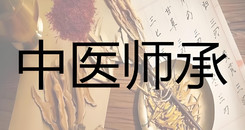 中医师承培训 中医师承培训