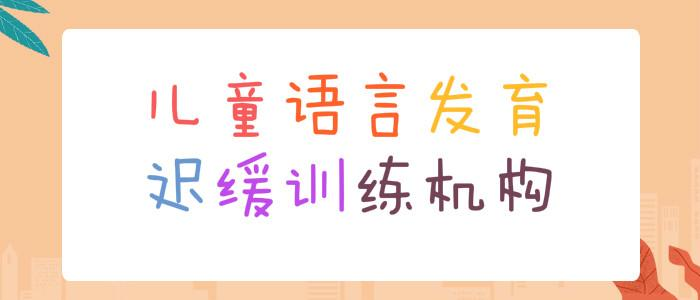 儿童语言发音迟缓训练机构 儿童语言发音迟缓训练机构