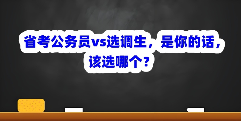 选调生,公务员中的优秀人才,公务员考试 选调生,公务员中的优秀人才,公务员考试