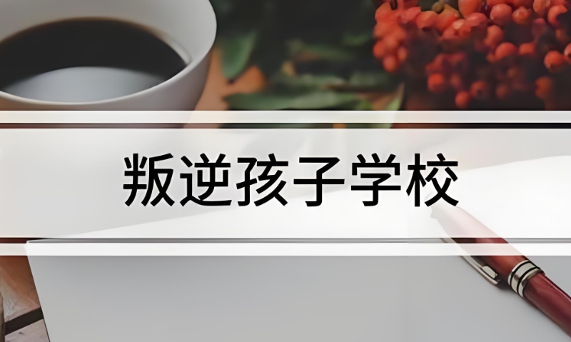 叛逆孩子学校