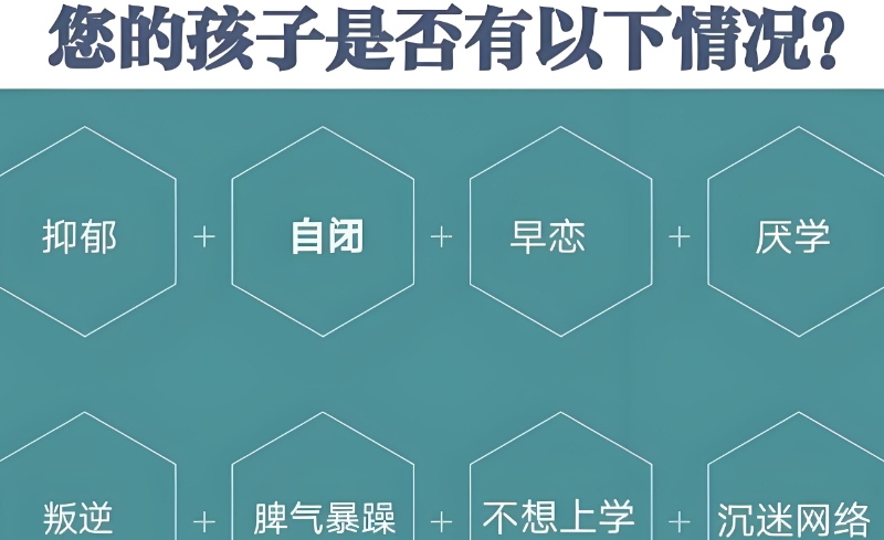 叛逆学校 叛逆学校