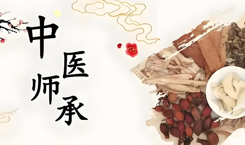 中医师承培训 中医师承培训