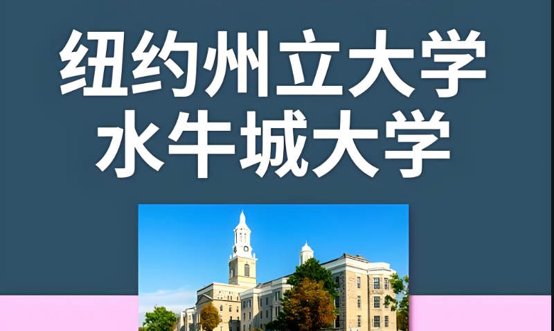 水牛城大学 水牛城大学