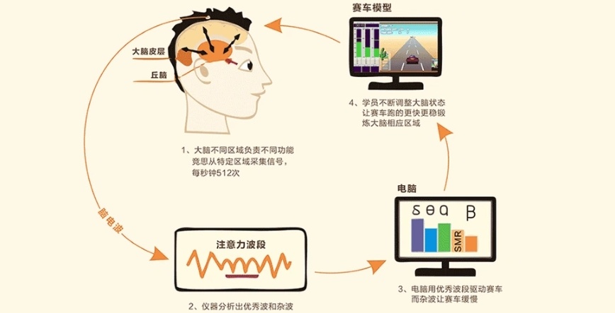 注意力训练