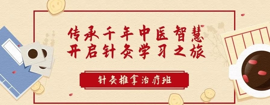中医培训学校，针灸千年中医智慧的针尖传承，中医针灸