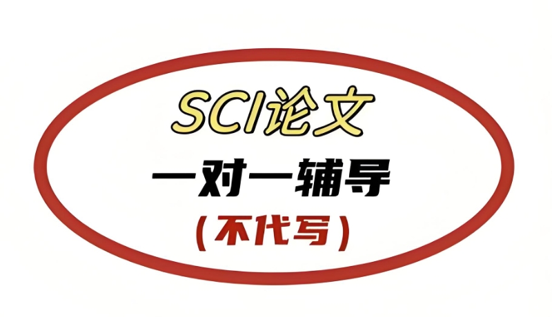论文辅导 论文辅导