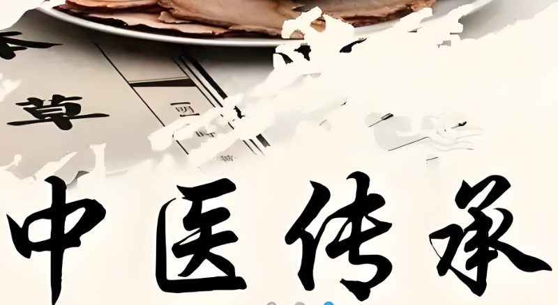 中医师承培训 中医师承培训