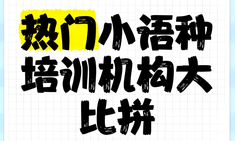 高考小语种